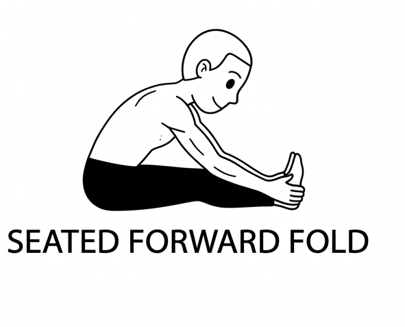 Visual sketch of Seated Forward Fold (Paschimottanasana)
